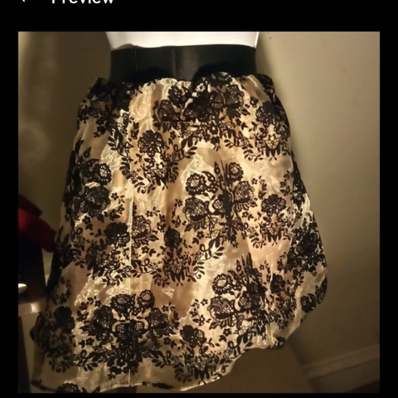 Express Mini Skirt - Picture 15 of 16